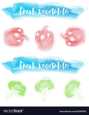 Vegetables food watercolor vector image