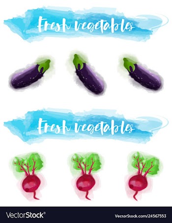 Vegetables food watercolor vector image