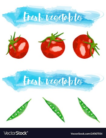 Vegetables food watercolor vector image