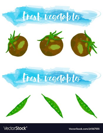 Vegetables food watercolor vector image