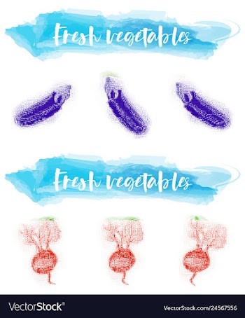 Vegetables food watercolor vector image