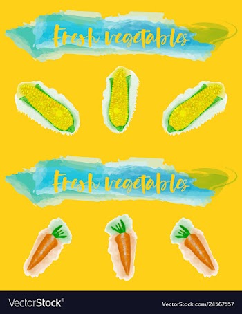 Vegetables food watercolor vector image