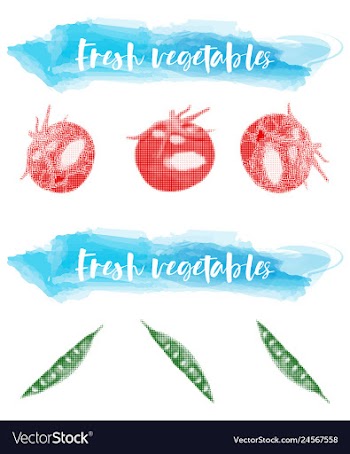 Vegetables food watercolor vector image