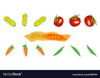 Vegetables food watercolor vector image