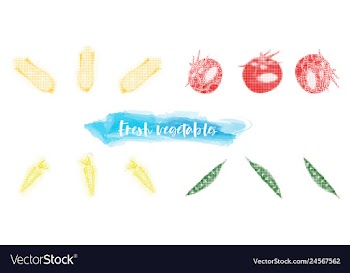 Vegetables food watercolor vector image