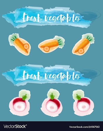 Vegetables food watercolor vector image