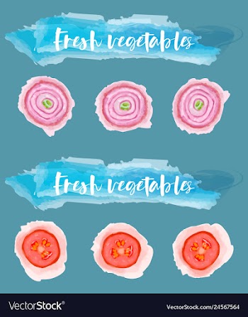 Vegetables food watercolor vector image