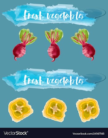 Vegetables food watercolor vector image