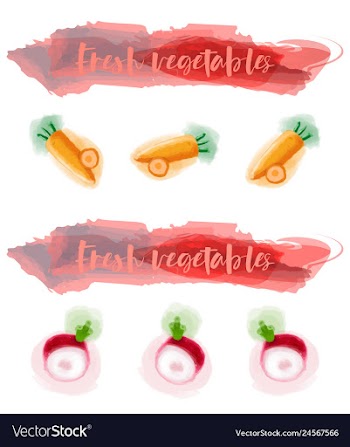 Vegetables food watercolor vector image