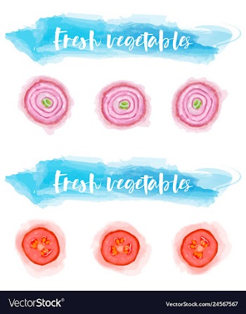 Vegetables food watercolor vector image