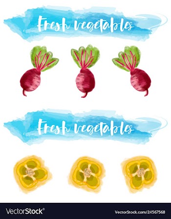 Vegetables food watercolor vector image