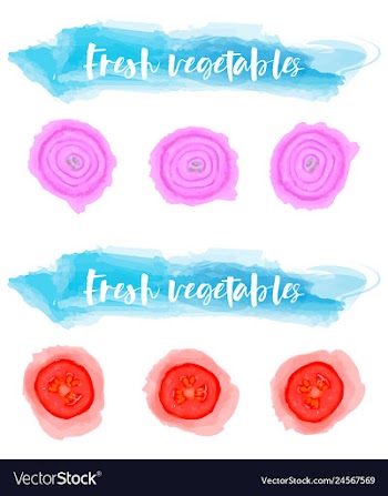 Vegetables food watercolor vector image