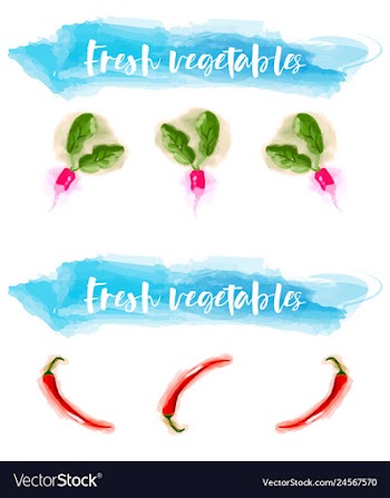 Vegetables food watercolor vector image