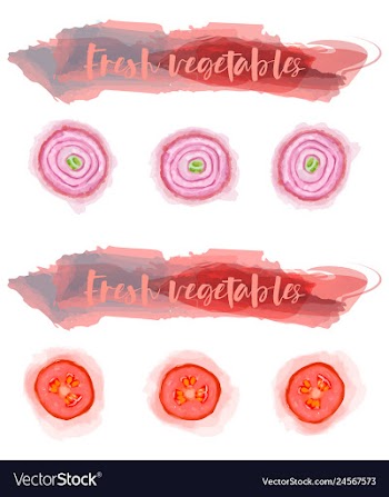Vegetables food watercolor vector image
