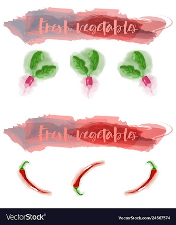 Vegetables food watercolor vector image