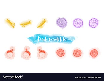 Vegetables food watercolor vector image