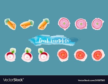 Vegetables food watercolor vector image