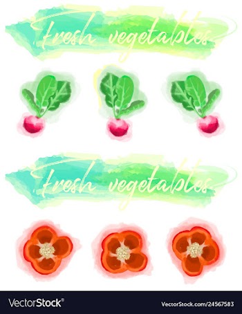 Vegetables food watercolor vector image