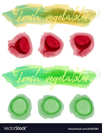 Vegetables food watercolor vector image