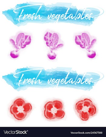 Vegetables food watercolor vector image