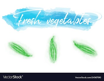 Vegetables food watercolor vector image
