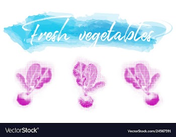 Vegetables food watercolor vector image