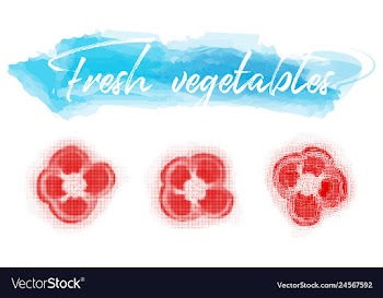Vegetables food watercolor vector image