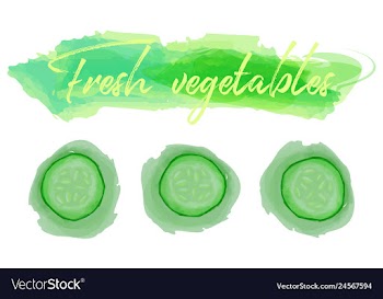Vegetables food watercolor vector image