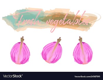 Vegetables food watercolor vector image