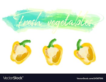 Vegetables food watercolor vector image