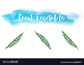 Vegetables food watercolor vector image