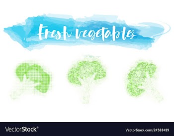 Vegetables food watercolor vector image