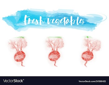 Vegetables food watercolor vector image