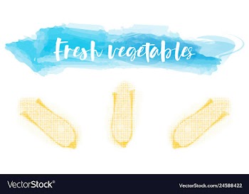 Vegetables food watercolor vector image