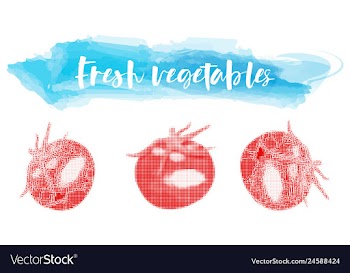 Vegetables food watercolor vector image