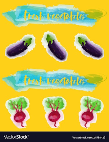 Vegetables food watercolor vector image