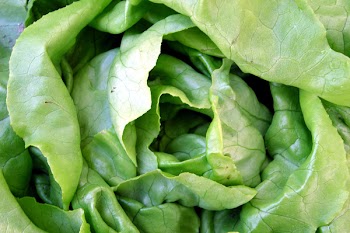 vegetables.jpg