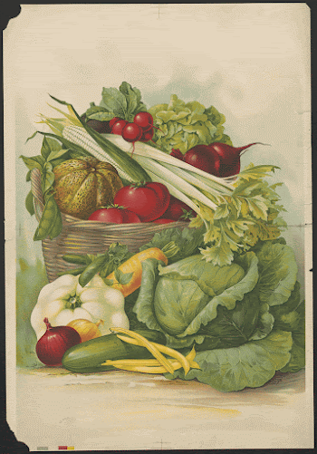 Vegetables. Original from the Library | Free Photo - rawpixel