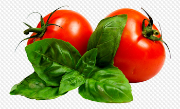 Vegetables png on a transparent background ( free 45 png images ...