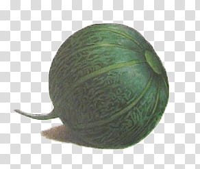 Vegetables , round green vegetable transparent background PNG clipart
