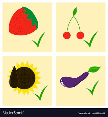 Vegetables top view frame farmers market menu vector image
