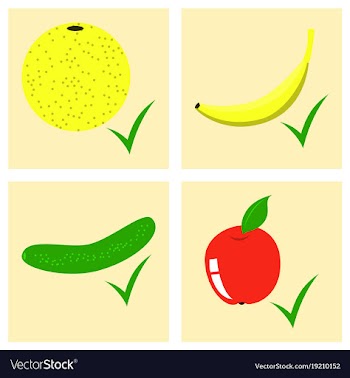Vegetables top view frame farmers market menu vector image