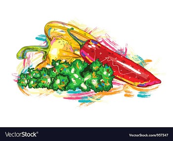 Vegetables with colorful splashes vector image