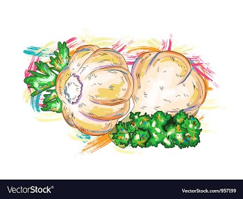 Vegetables with grunge vector image