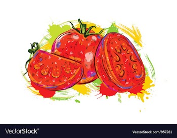 Vegetables with grunge vector image