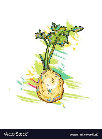 Vegetables with grunge vector image