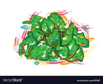 Vegetables with grunge vector image