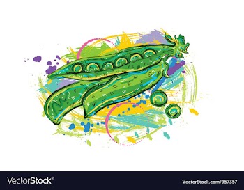 Vegetables with grunge vector image