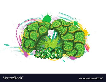 Vegetables with grunge vector image