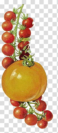 Vegetables , yellow fruit transparent background PNG clipart